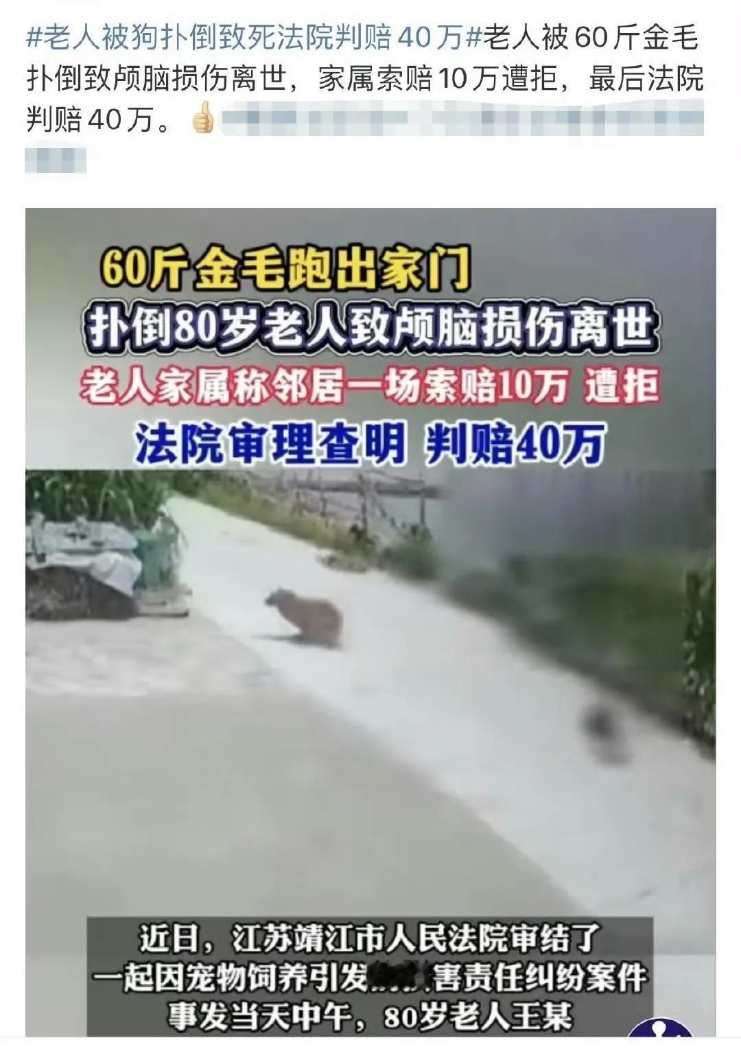老人被60斤金毛扑倒致颅脑损伤离世，家属索赔10万元遭拒，最后法院判赔40万元。