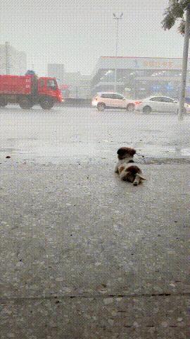 和小的时候的你一样，喜欢趴在窗边听雨声！