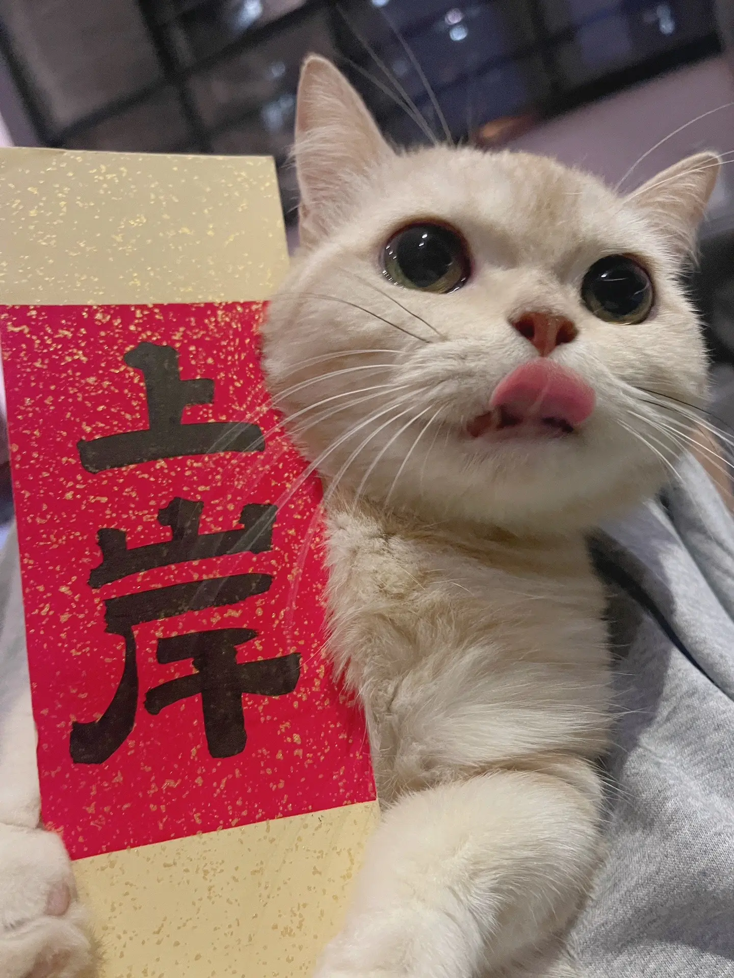 下一站，上岸！