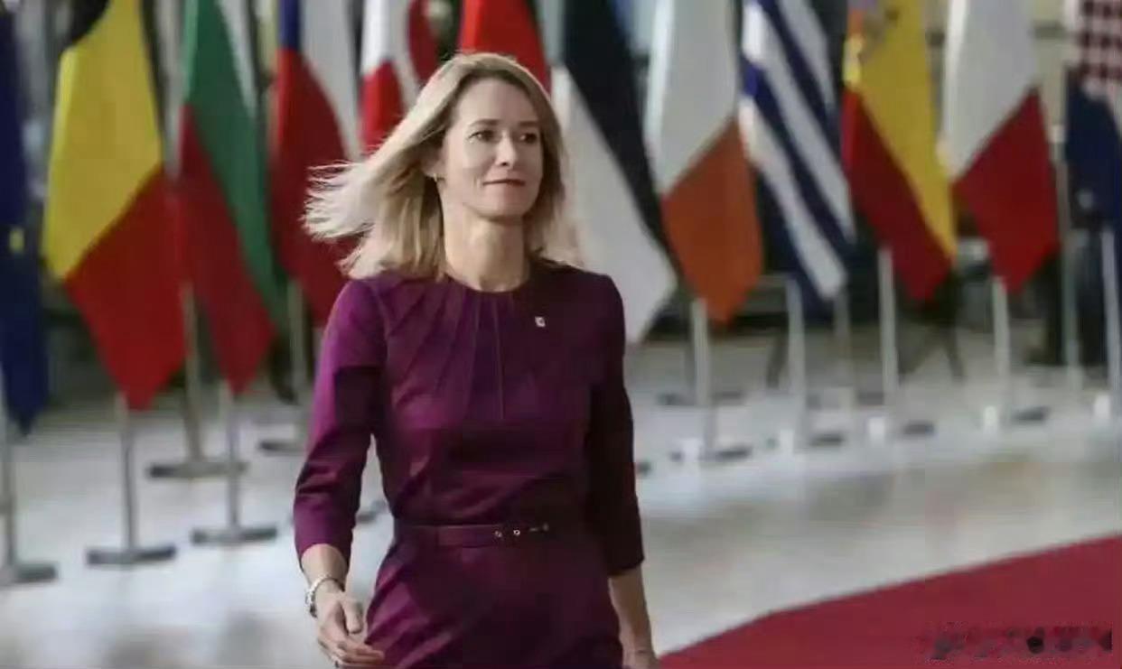 欧盟外长说，欧洲将自卫外包是难以生存的。美国不再视欧洲为重心，强权政治正在回潮，