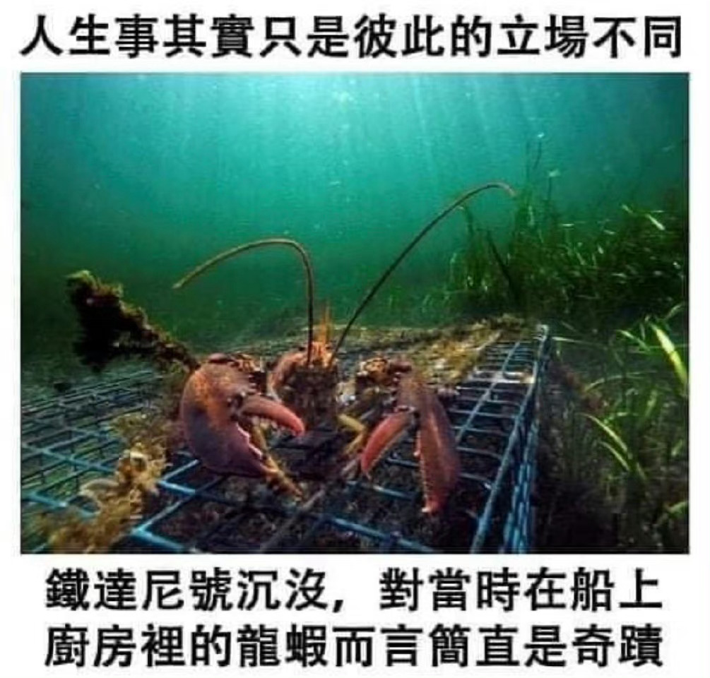 龙虾：想都没想过 ​​​