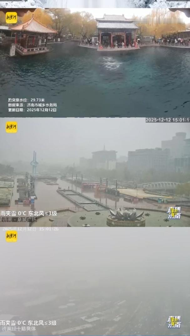 不经意间看向窗外，济南忽然下雪了。
片片雪花纷纷而落，无声无息，悄然而至。
想起