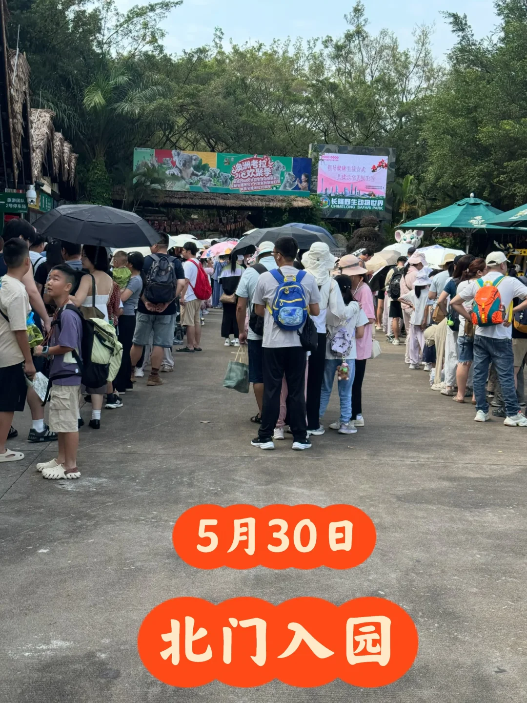 长隆野生动物世界5月30日