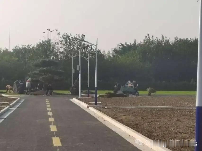 【市民对盐城一公益性公墓路灯设置的合理性提出质疑】市民反映:首先认可“大桥镇公益