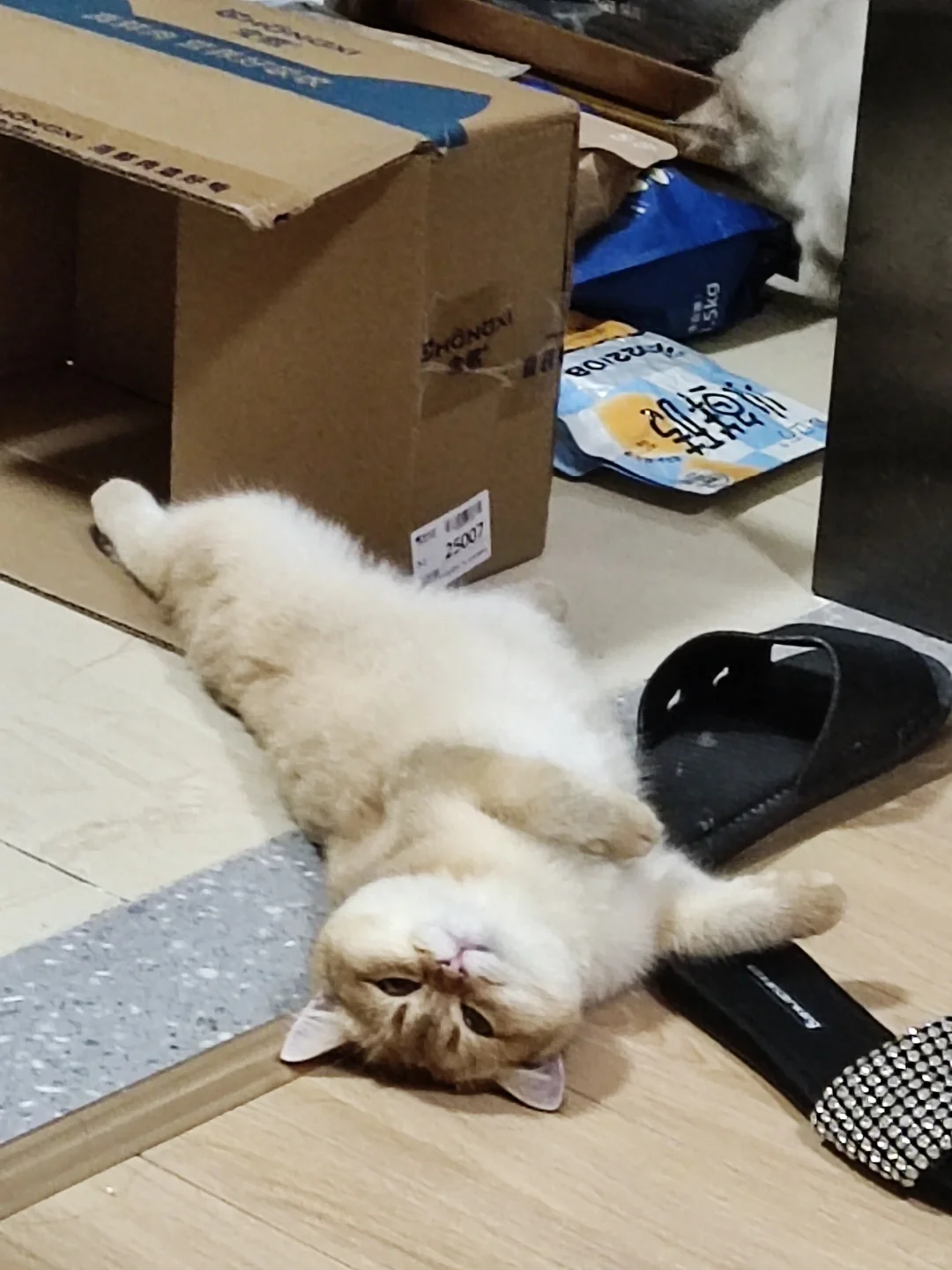 晚安玛卡巴卡