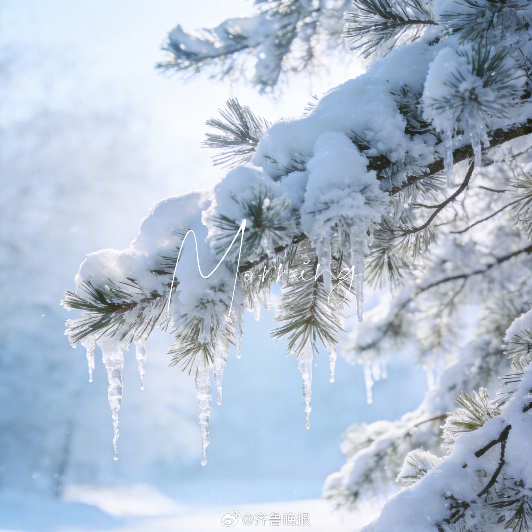 #早安# 开启闪闪发光的一天