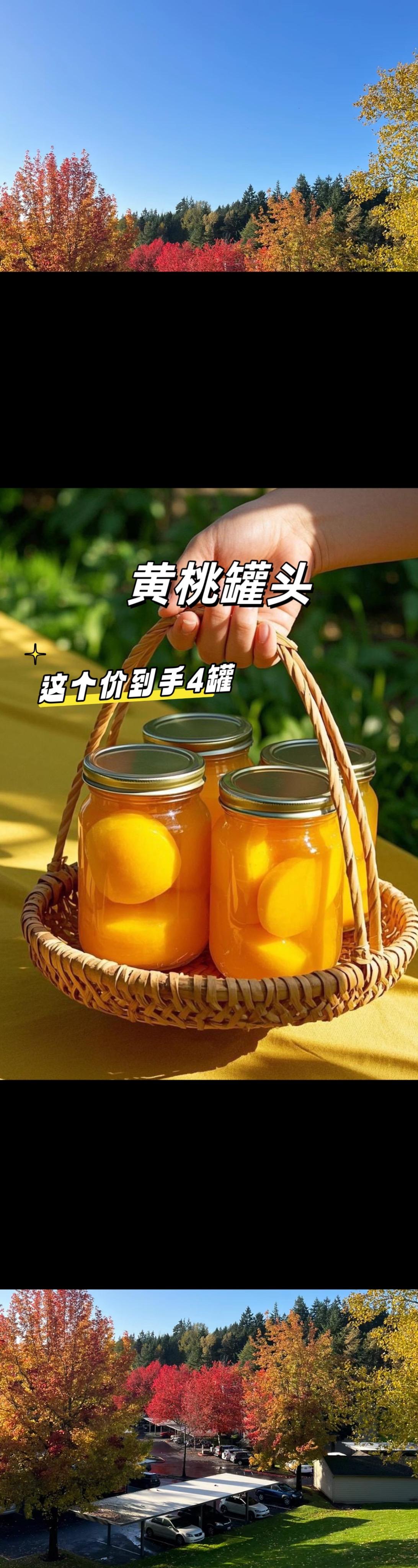 生活偶有枯燥无味，当你开启一瓶黄桃罐头，瞬间就会心情倍好！😋一口下去...