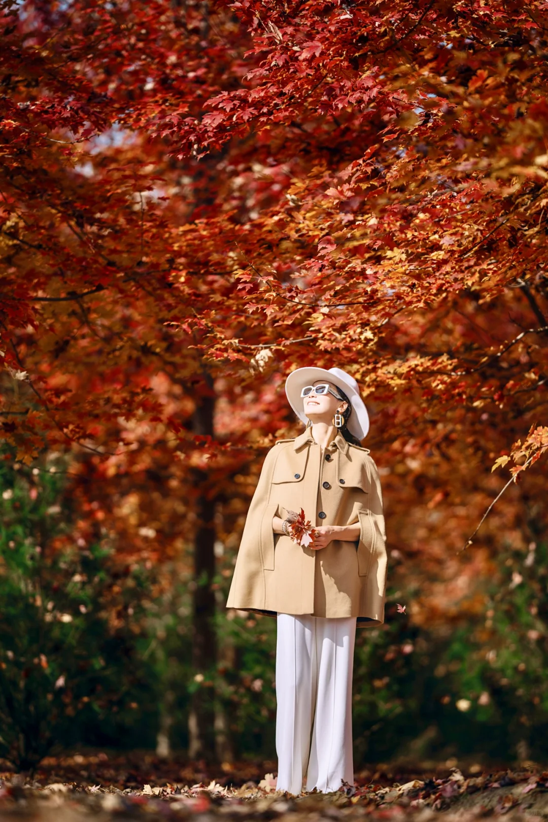 北京海淀秋天红叶拍照🍂📍附交通地图🍂