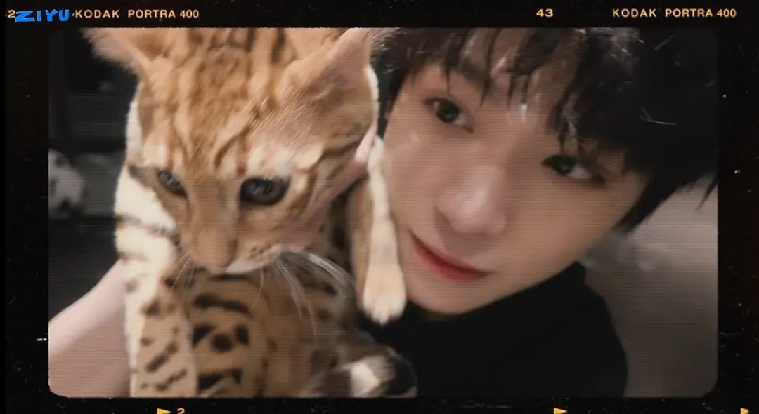 郑朋比🐱毛绒绒 