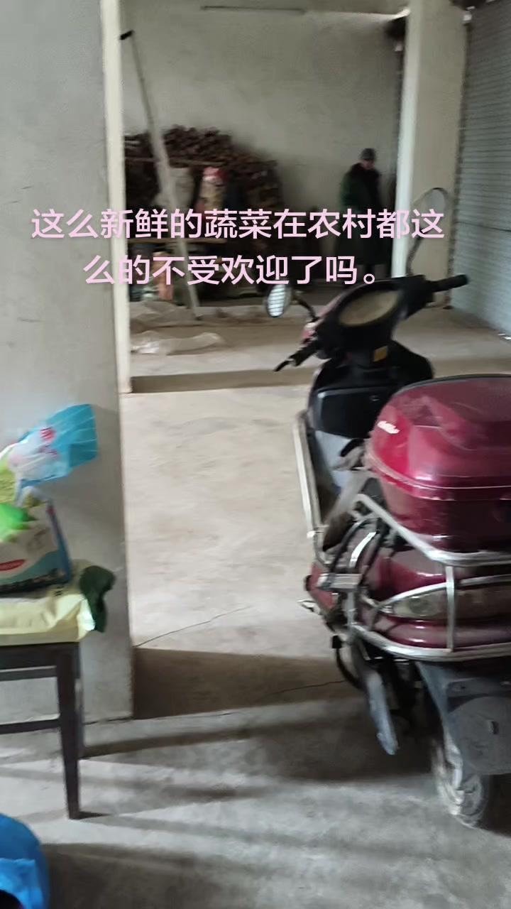 老爸早上五点就拉着菜去镇上赶集了，守了一上午，最后还是带着满满一三轮车菜回来了。