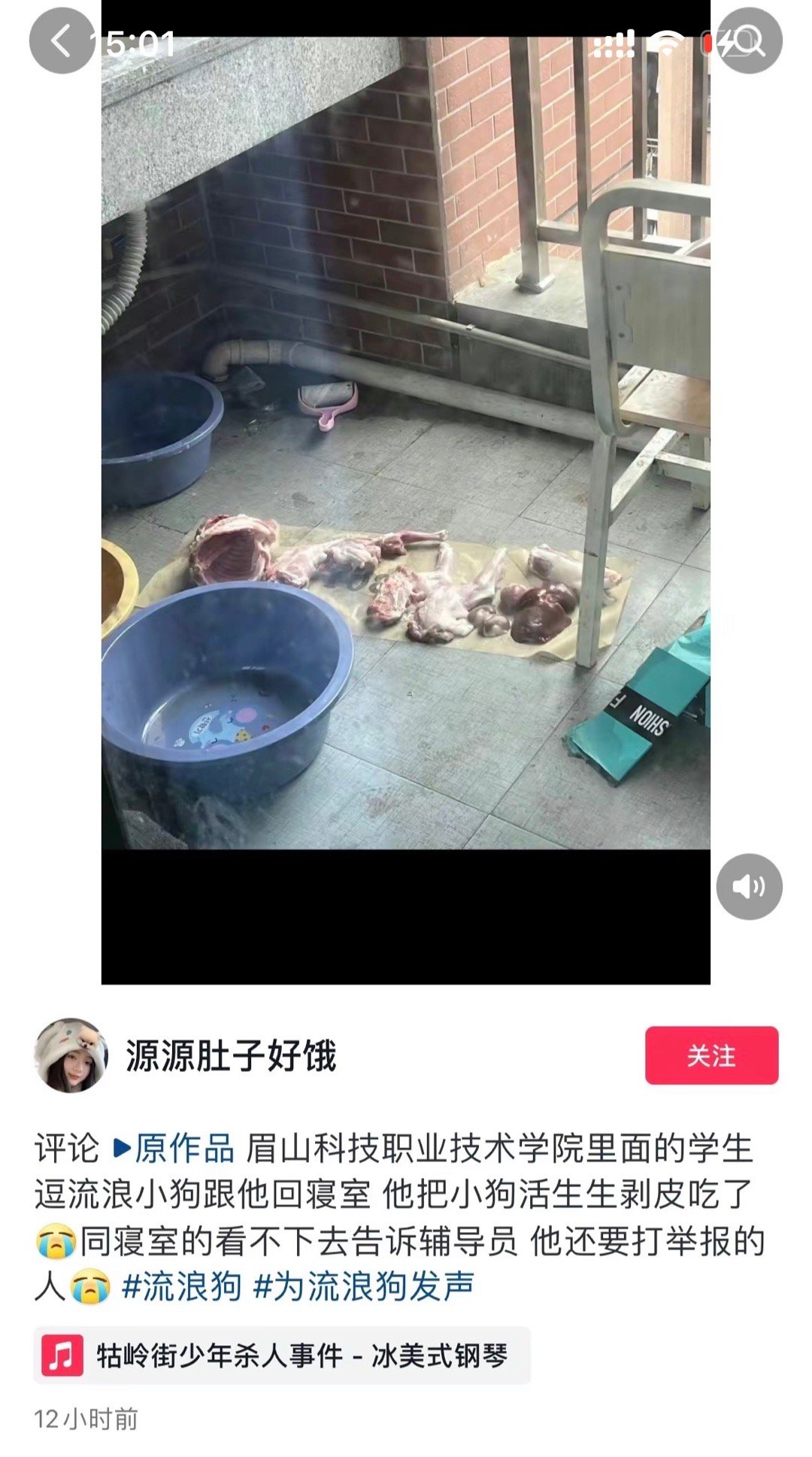 这是一场虐杀者的狂欢 ​​​