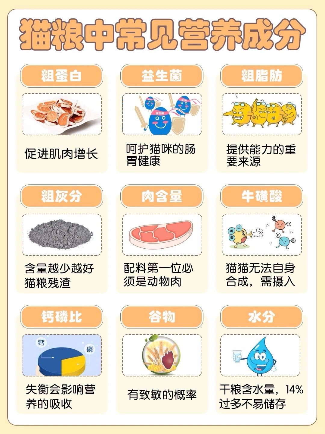 养猫新手点进来！猫粮选购指南曝光~