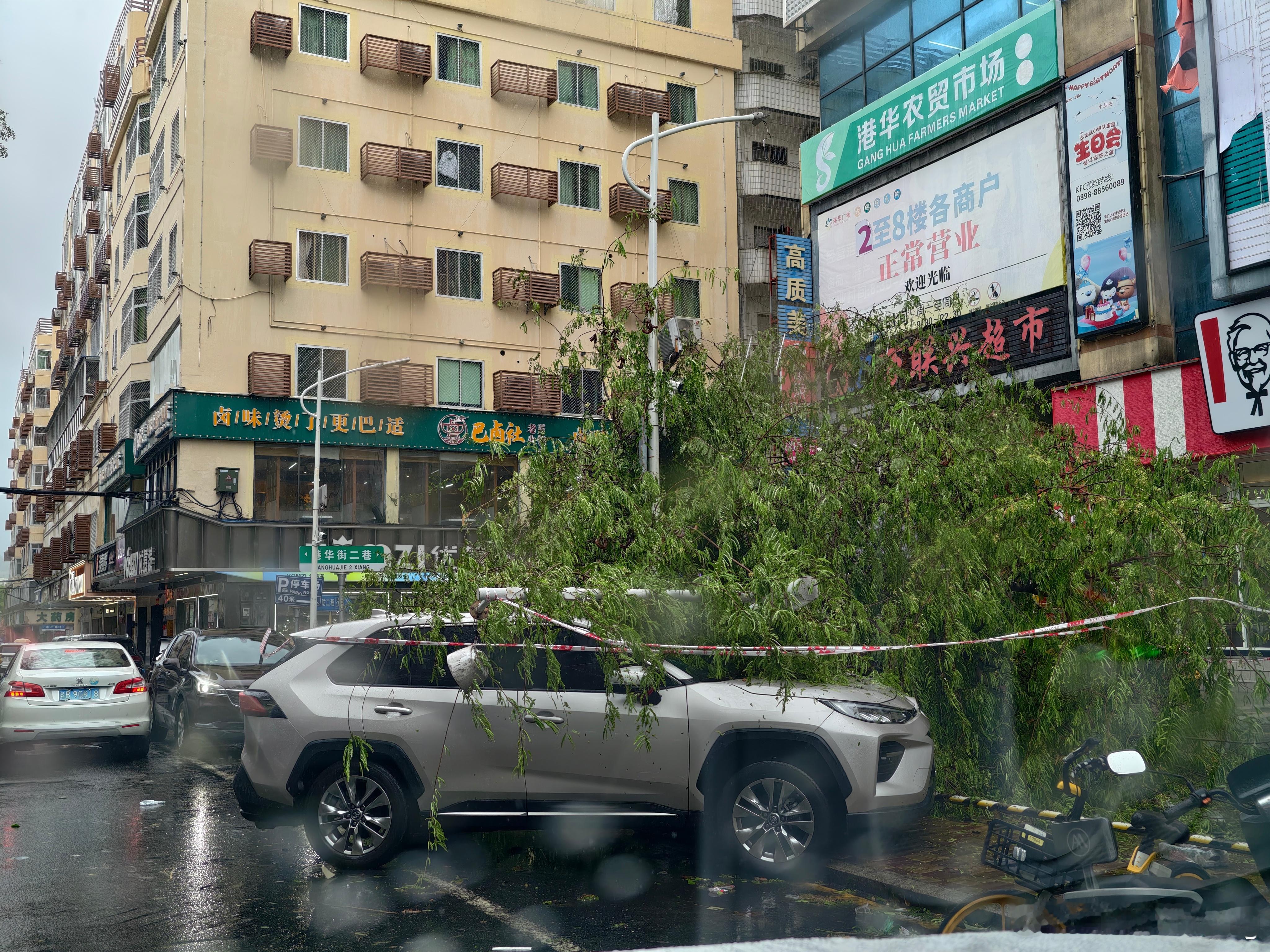 终于体会了海南人民被台风支配的恐惧，狂风暴雨不说，路上全是倒掉的树木，树墩子，开