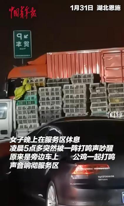 2月2日，湖北恩施，一女子开车上高速回家过年，路上实在太困就在服务区睡了一觉，没