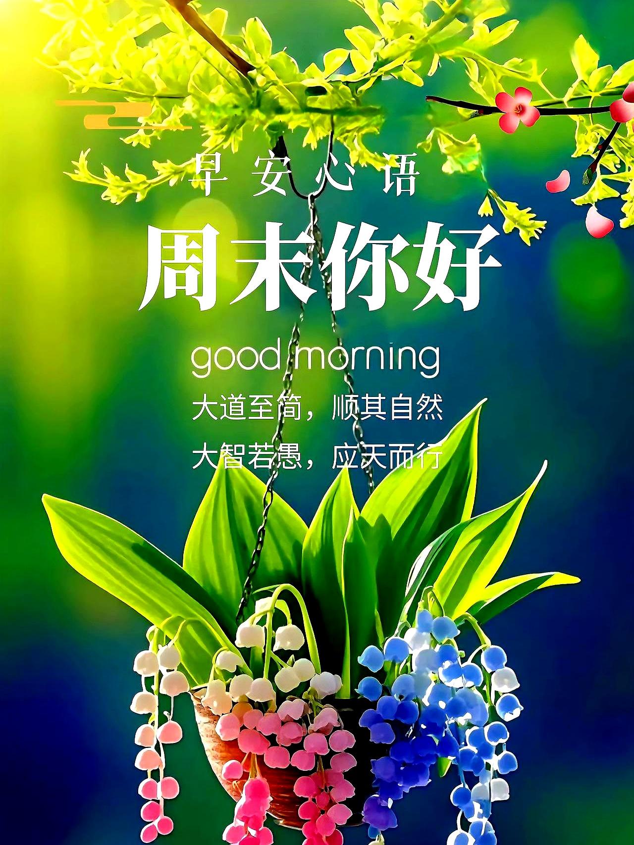 加班路上踩碎一地桂花，95后小吴突然不烦了——这几天全国的桂花树都憋着劲儿香，南