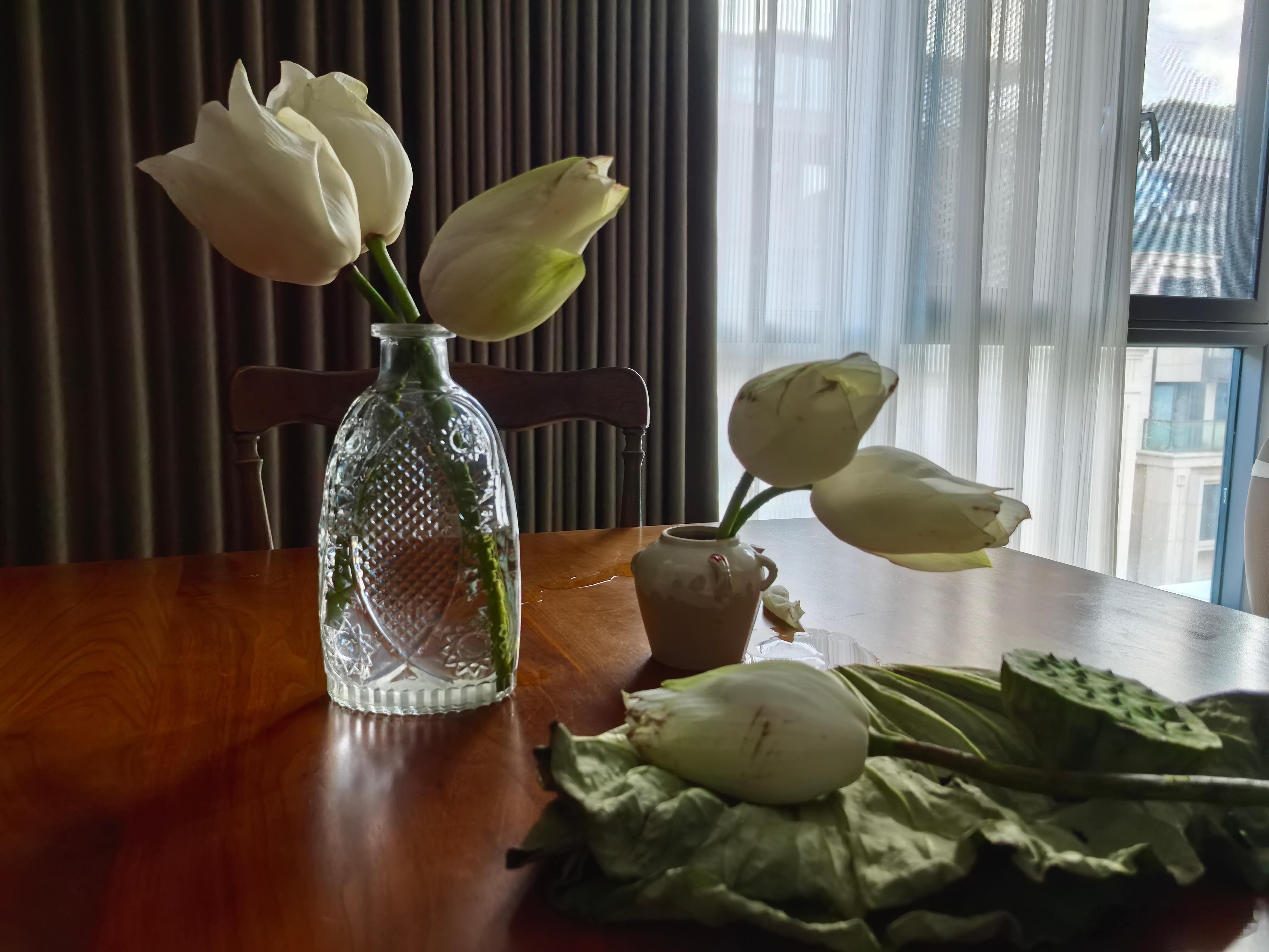 夏日收到莲花，正适宜做菜。白莲花瓣加肉沫剁碎做成肉丸，可煮汤，汤里加点莲叶碎提味