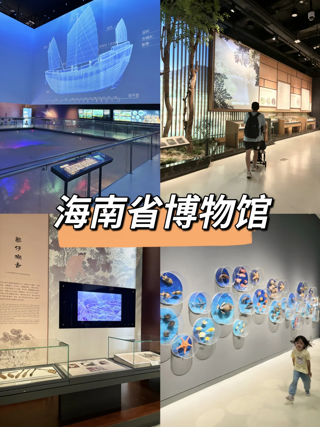 📍海南省博物馆半日游，人少免门票（游玩攻略