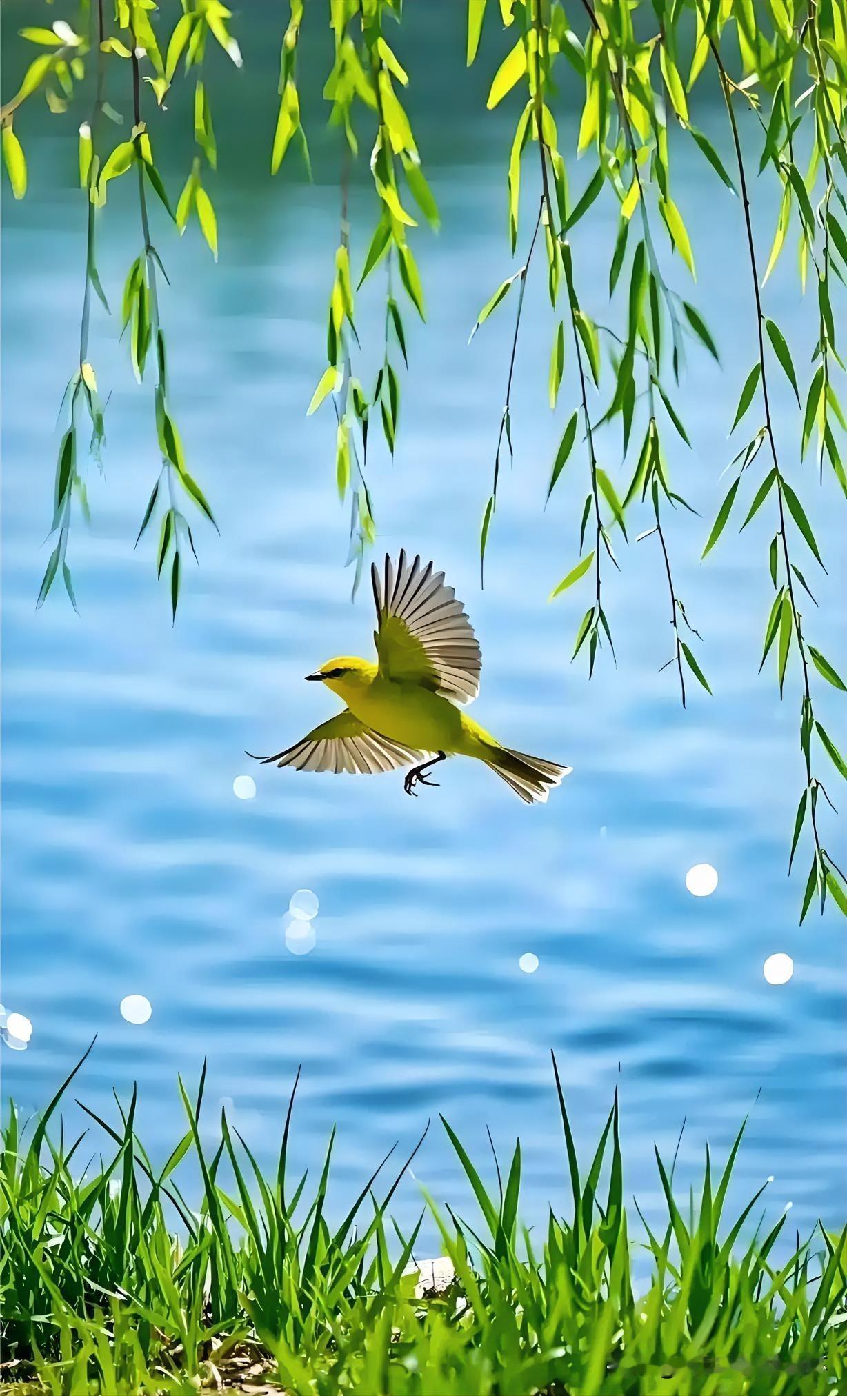 下联：娇莺离树舞春风
上联：有请雅士[玫瑰][玫瑰][玫瑰]