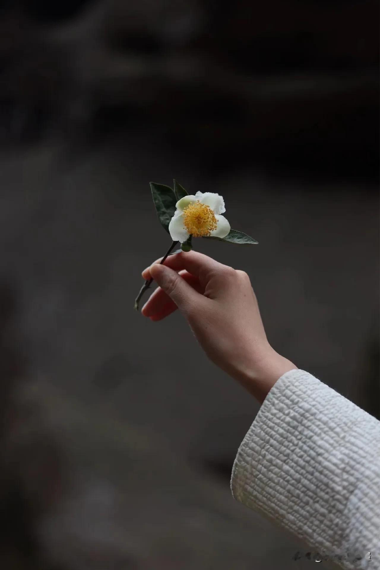 一段非常通透的话：“性命性命，一个人能活多久，是由性决定的，你从60岁开始清心寡