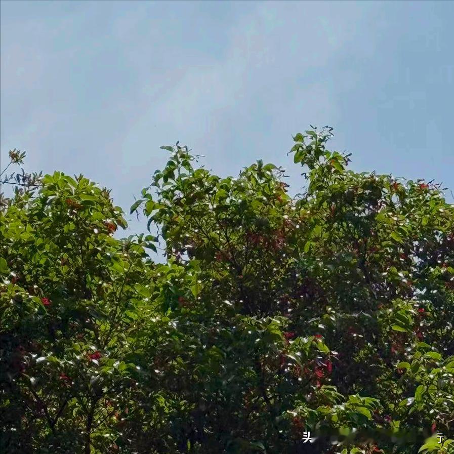 四川：执纪审查1人
 
4月27日晚上，该省执纪审查1人，为今年66岁、已经退休