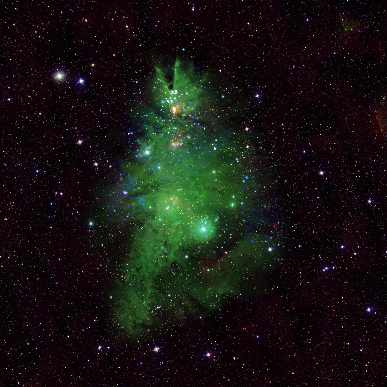 NASA spots 