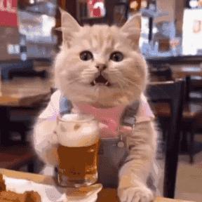 人生的好日子是有数的，过一天就少一天，所以当你感觉美好的时候，就要尽量开心久一点