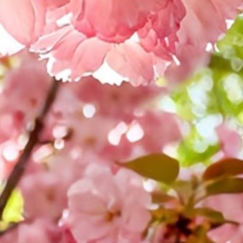 每日一善  每日一善   阳光信用 用心甘情愿的态度，过随遇而安的生活。遗憾，随