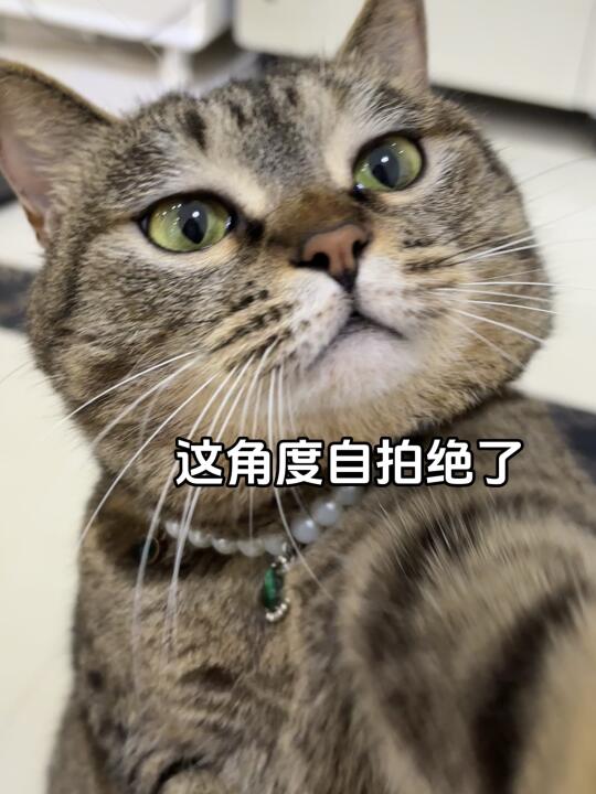 今天我妈不在家，自拍几张给ee们看嘻嘻