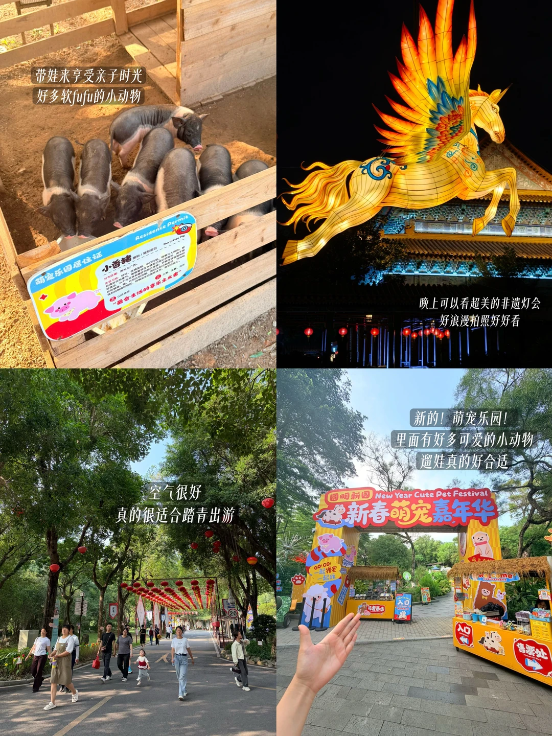 珠海五一建议直接🐛这里。。。遛娃好去处