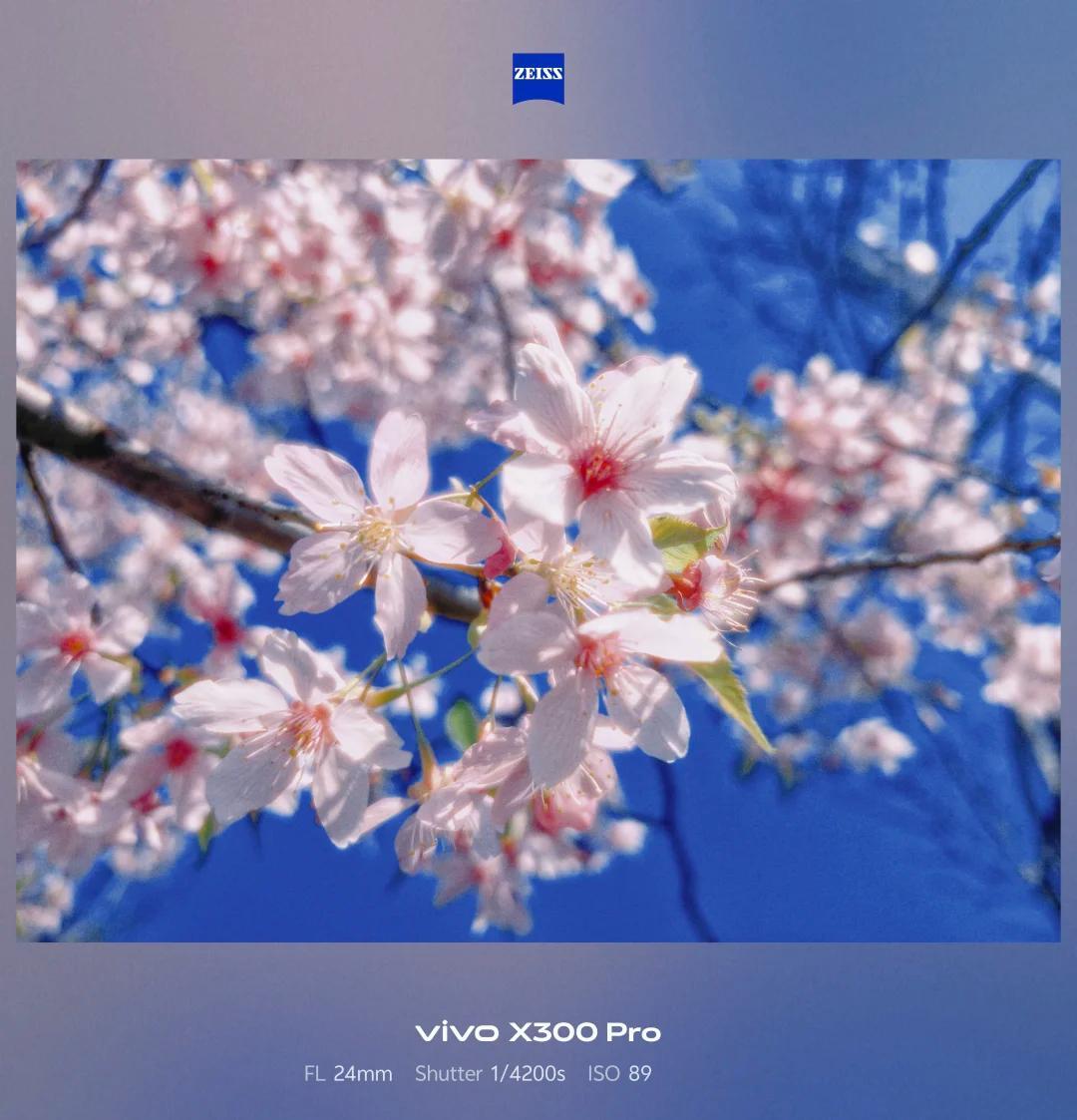 如果把vivo的调色盘运用的好的话，把照片调出日系胶片感应该没什么难度吧[皱眉]