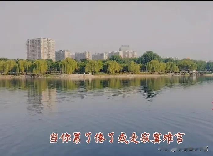 湖光山色，水波荡漾。