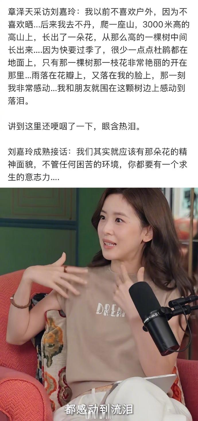 曾经的奶茶妹妹章泽天在播客中讲：去爬山看到在3000米高山上长出了一朵花，然后感