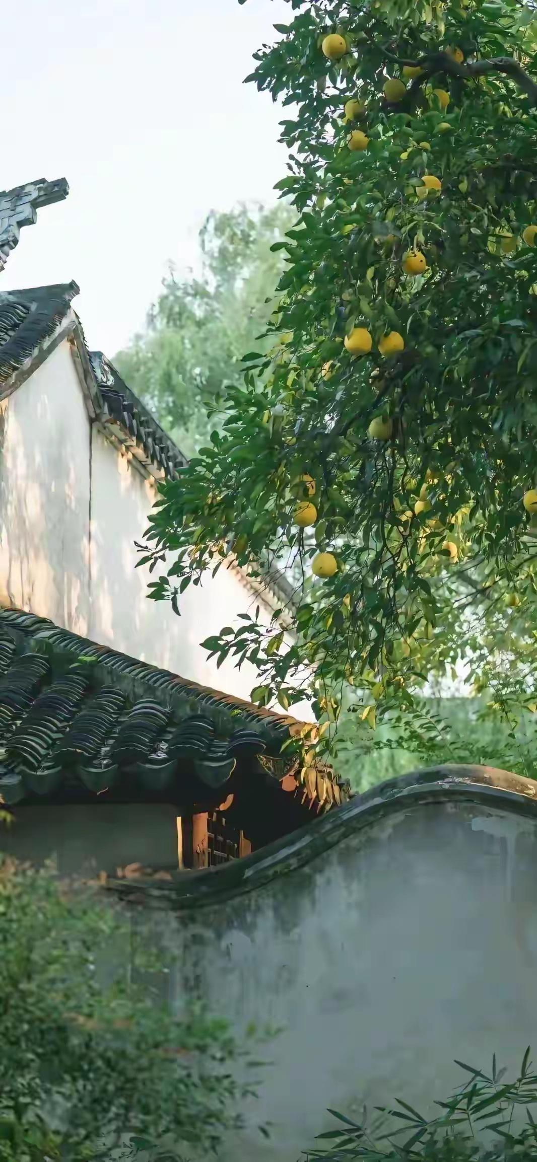 胡适：“聪明的人，看到历史就会觉醒；善良的人，看到真相就会觉醒；无知的人，需经历