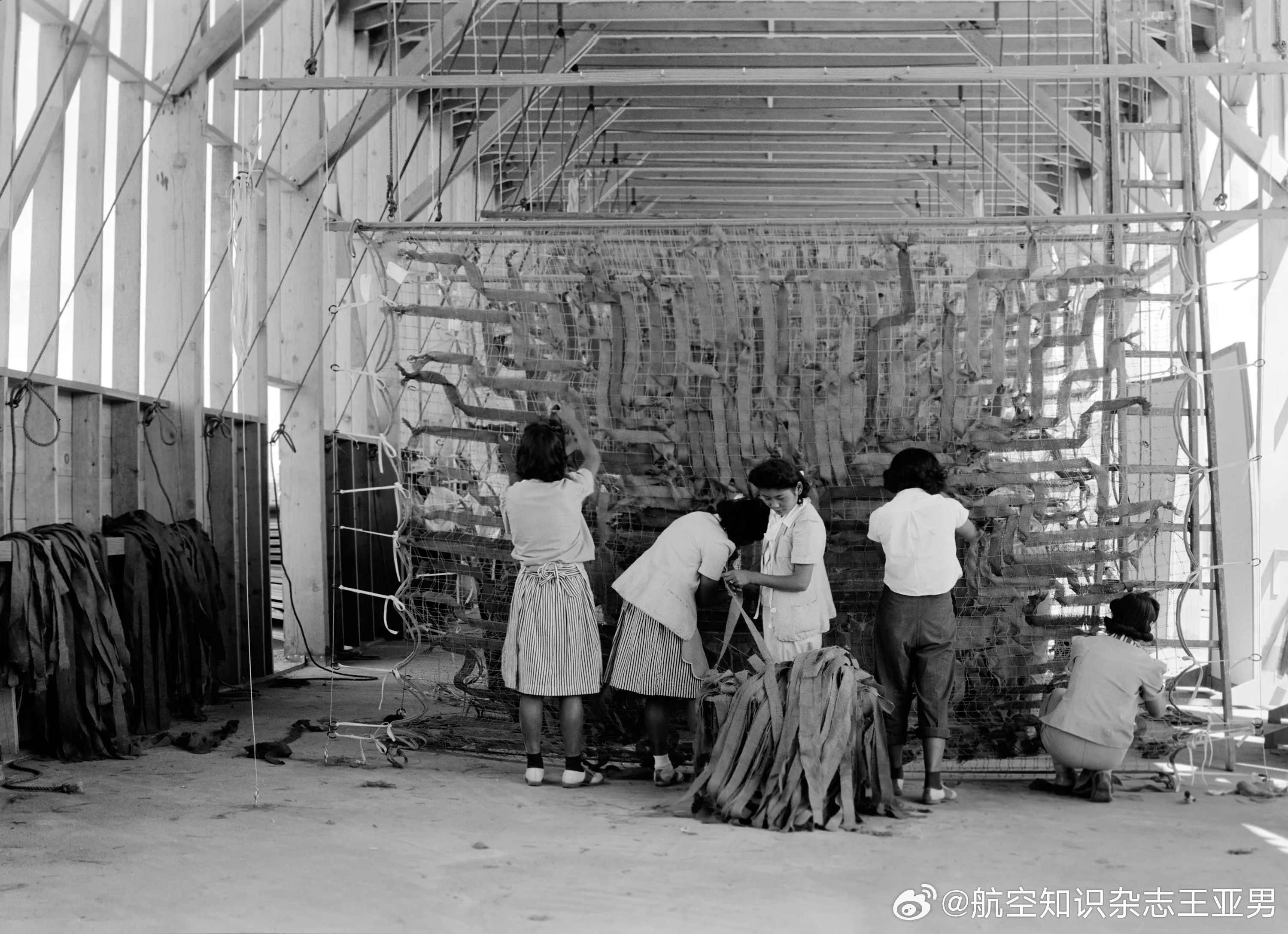 美国是个移民国家不假，许多人愿意迁居美国也不假。但是在特殊情况下，在美国的外裔移