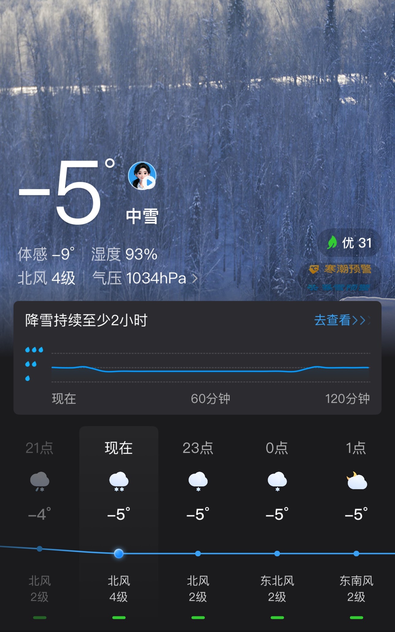 雪越下越大，很带劲啊…