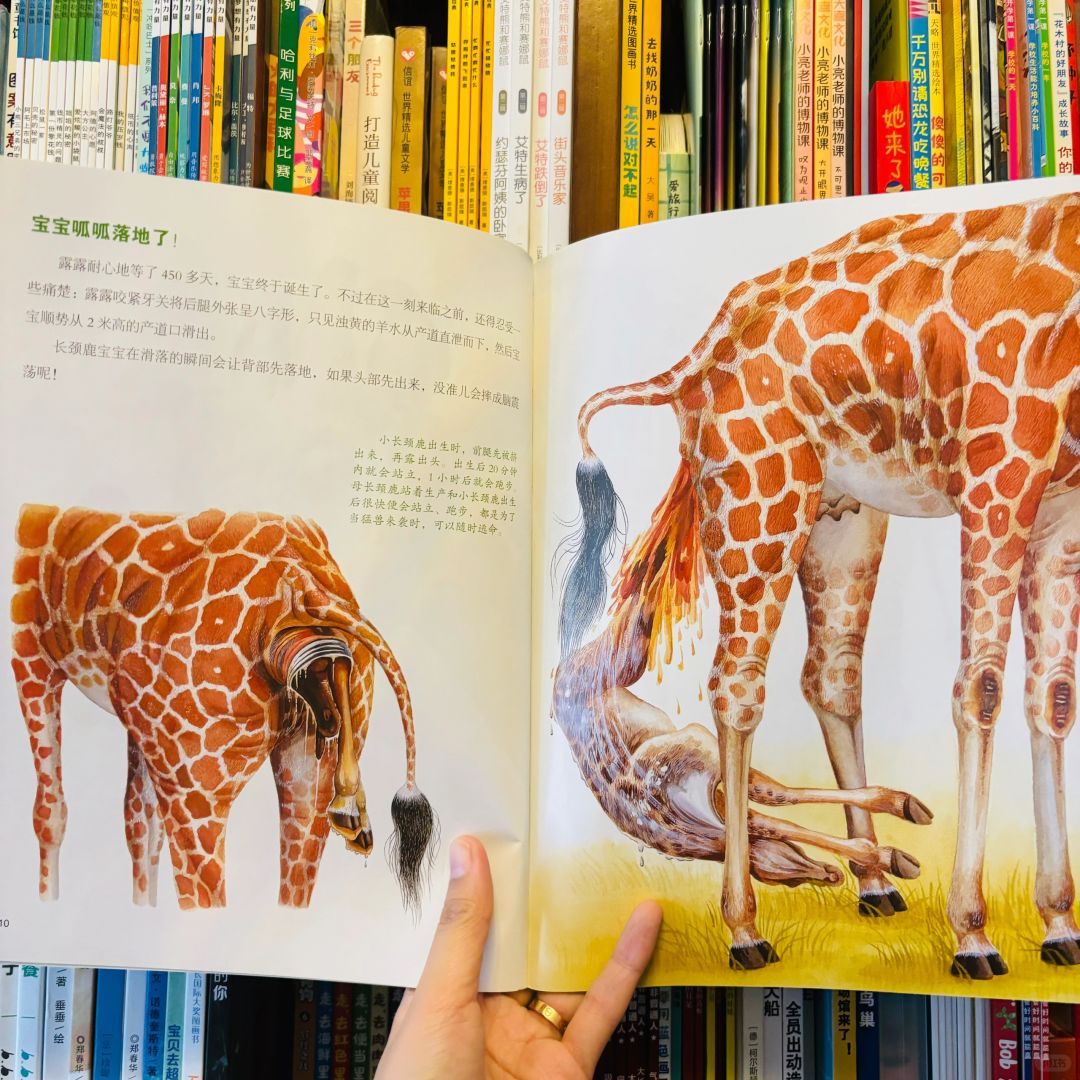 一二年级的孩子会非常喜欢的科普绘本！