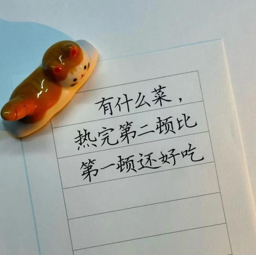在你的印象里，有没有什么菜，复热后的第二顿比刚烧出来的时候更好吃的？