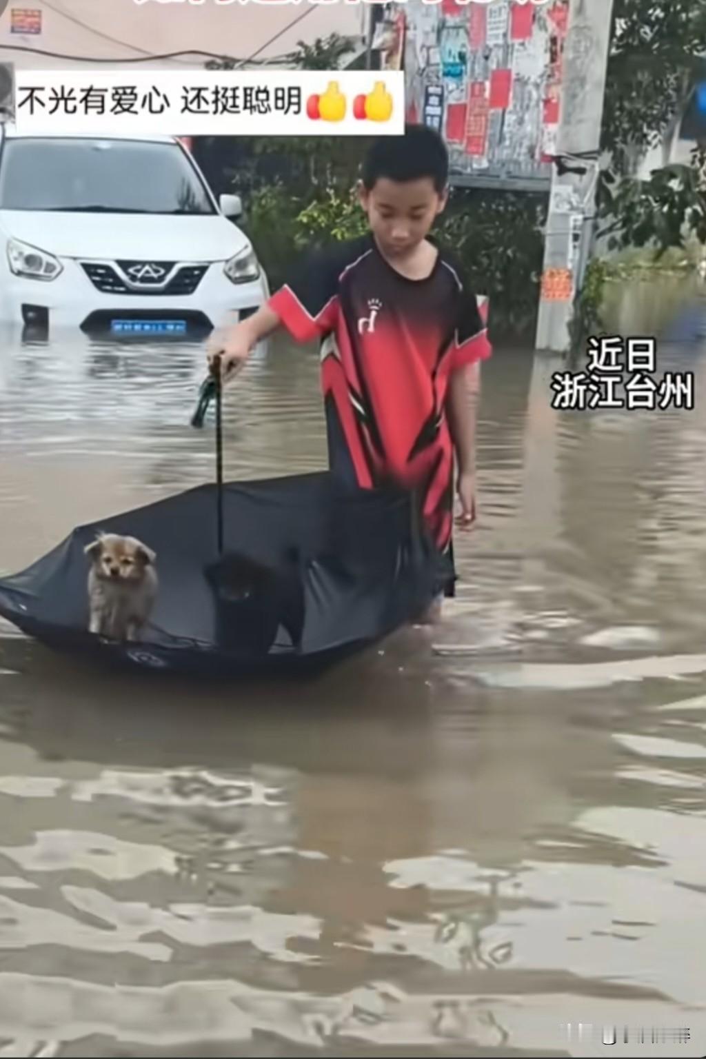 骨子里的善良真美，再加上聪明少年就会发光。
大家有没有像我一样，刷两遍才找到第二