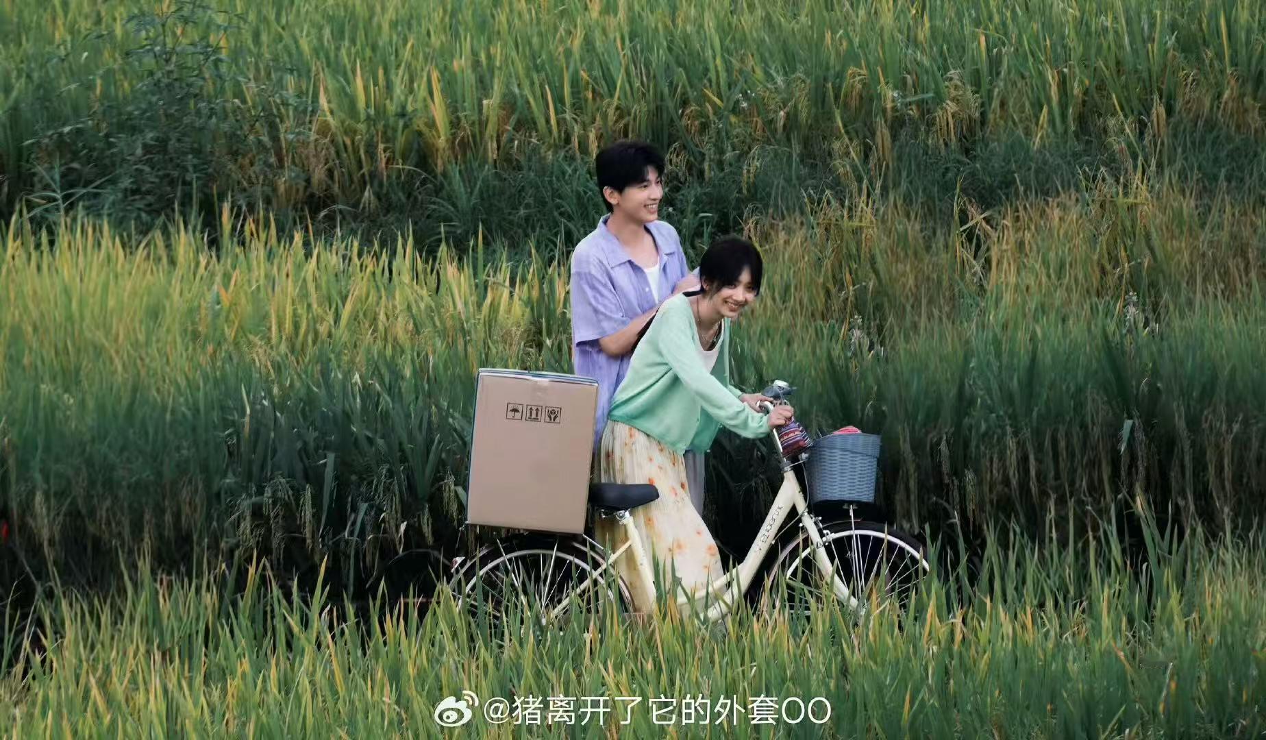 王影璐辛云来田园同框路透 ​​​浓浓的田园风扑面而来，王影璐辛云来同框好养眼～期