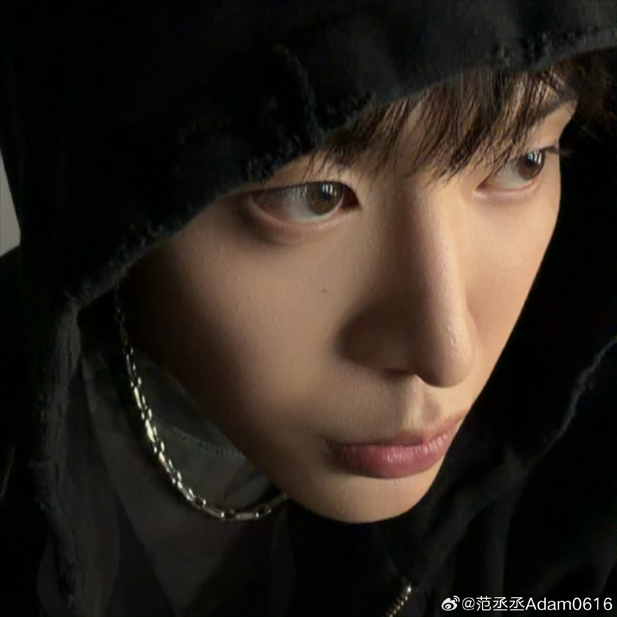 范丞丞的狗狗有艺人团队证今天是国际小狗节哦，丞丞还特地发了自己的两只小狗，还给虫