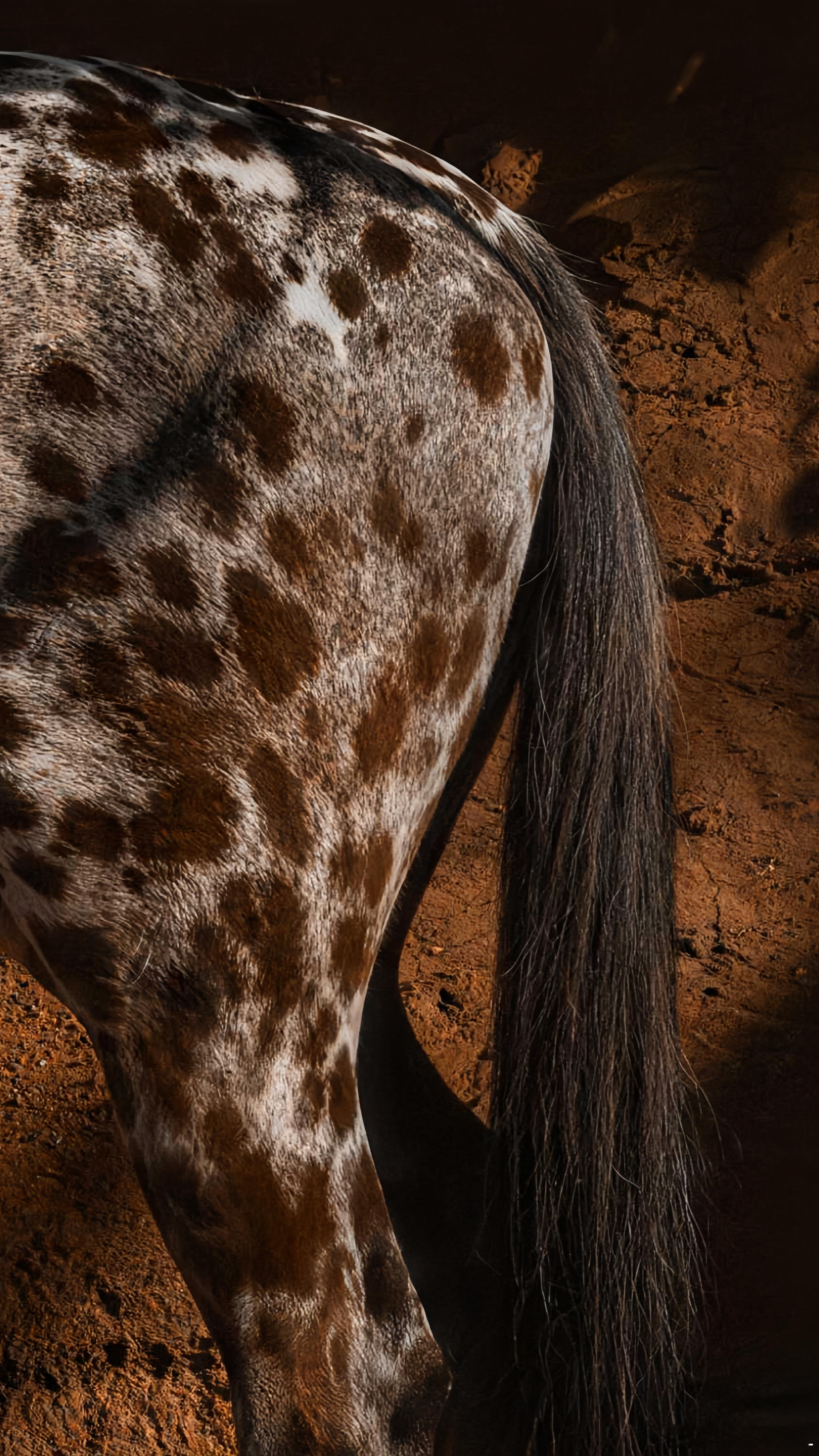 xVESSEL美学🐎via：Pinterestxvesselxvessel在哪