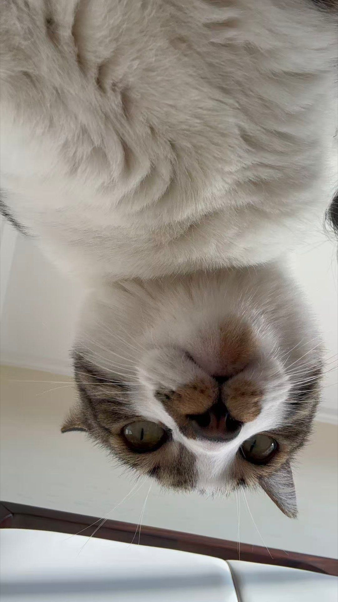 签到咯明天周一，还有要上班的吗           