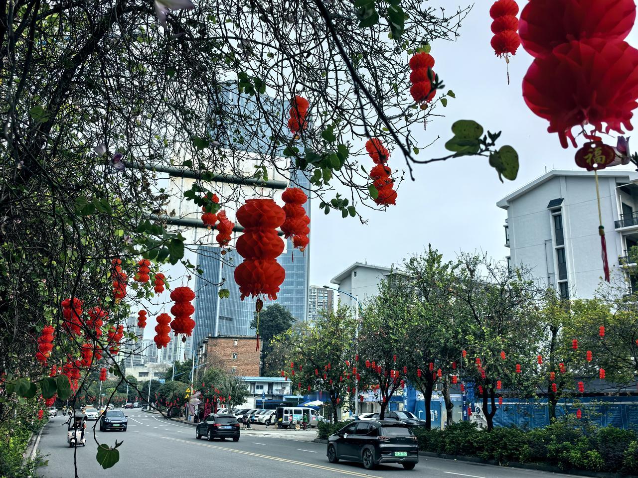 年味柳州
挂的是红灯笼