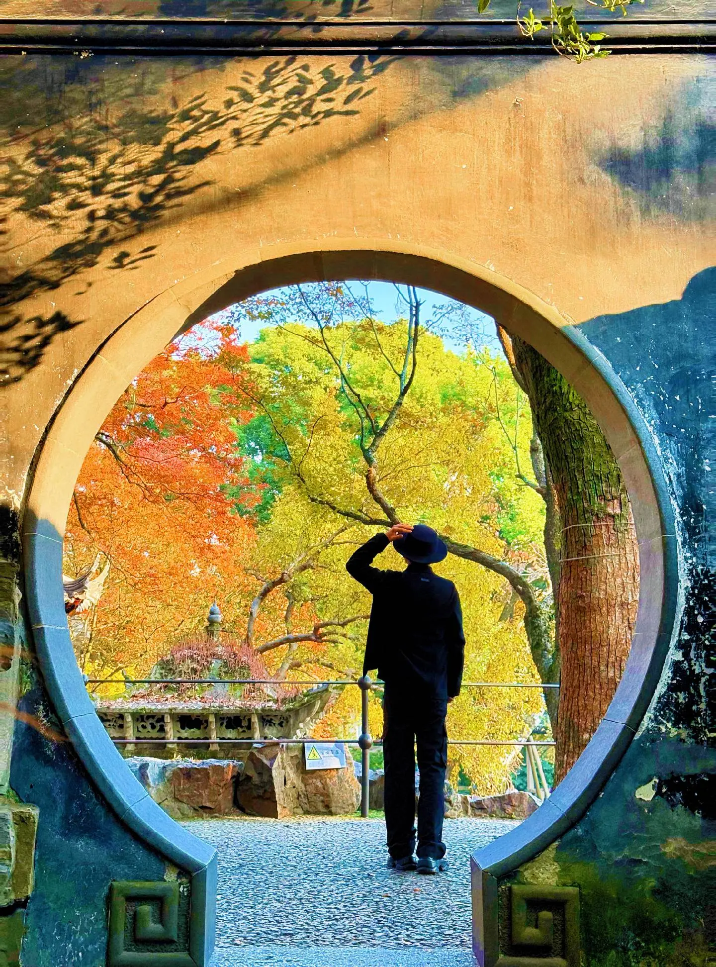 12.2实拍丨苏州园林堪称秋冬拍照天花板📍：虎丘山风景区