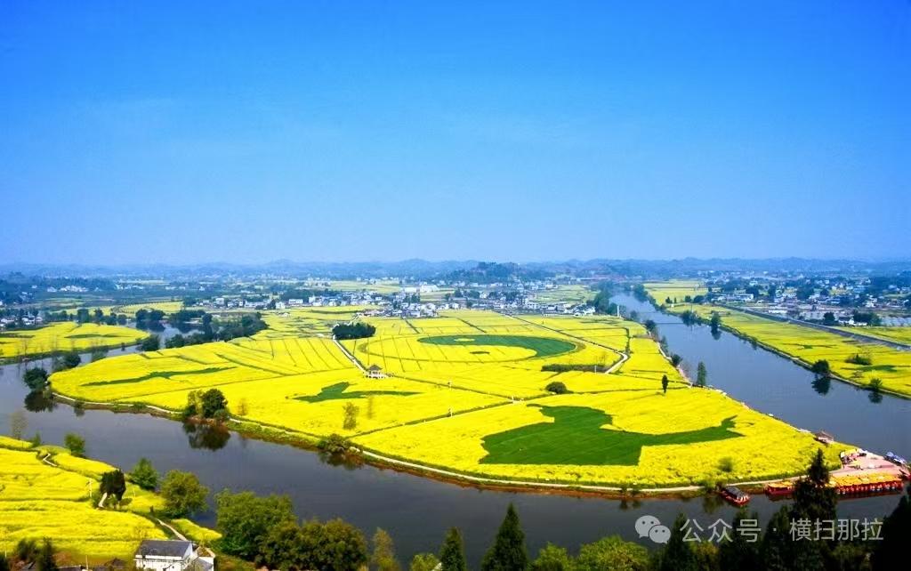 水仙子·油菜花海游
故乡三月菜花黄，
千顷金波映暖阳。
香风暗度尘襟荡，
蜂蝶随