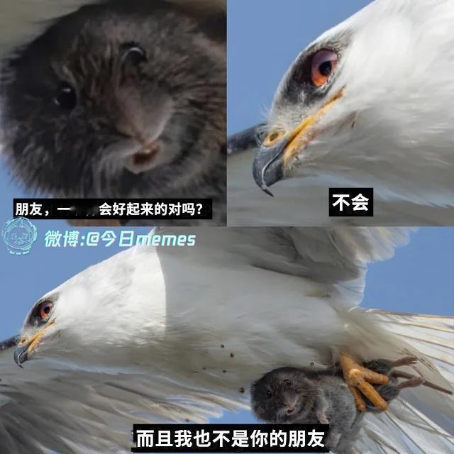 说一解二（9gag）今日meme[超话]今日memes ​​​