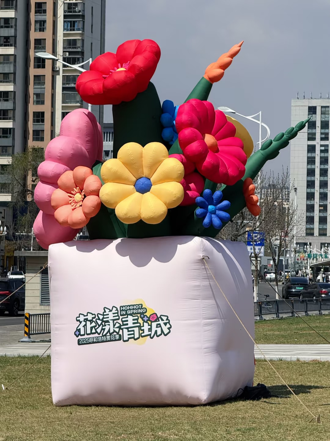 呼和浩特的花花世界！！！