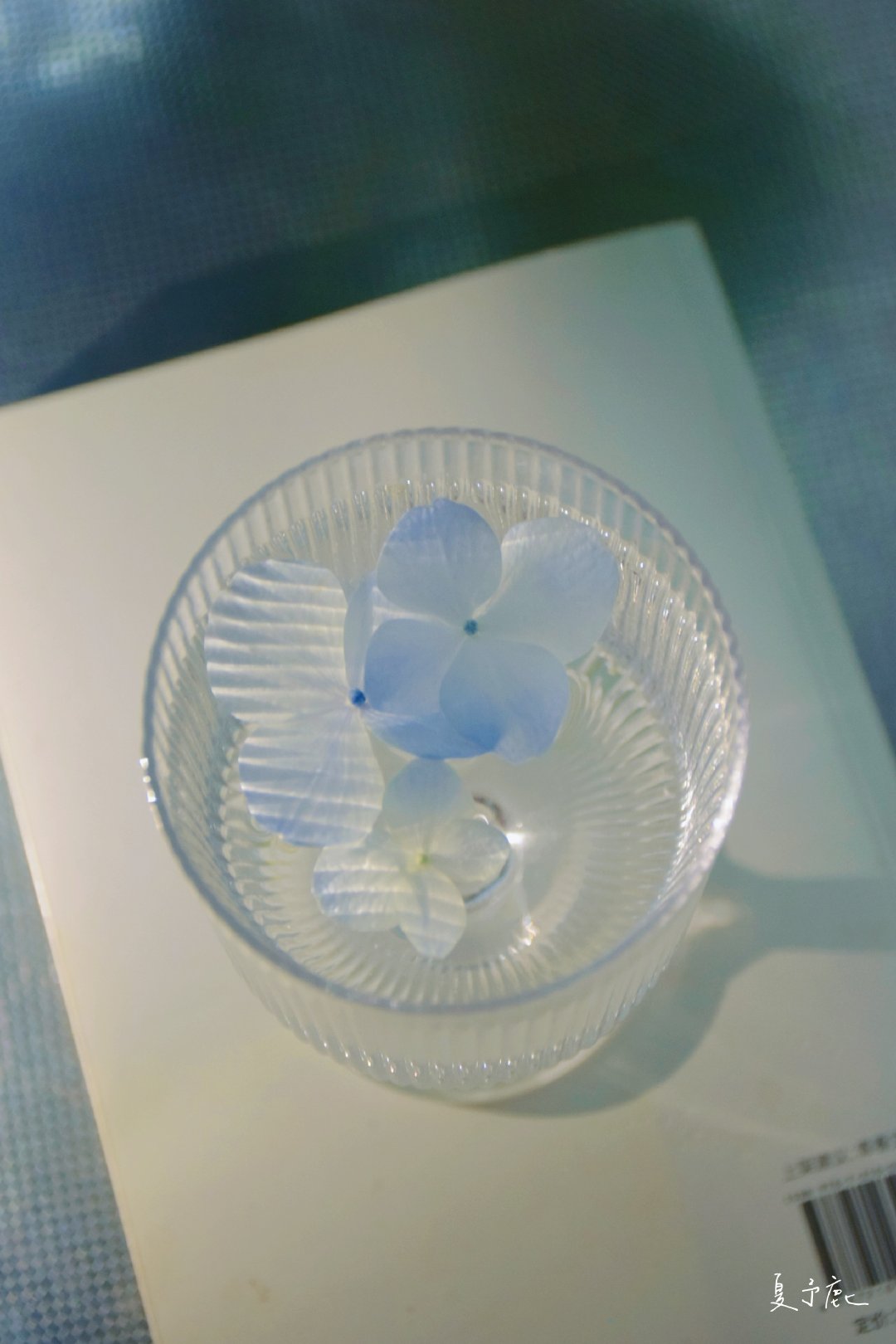 青春是人生的实验课，错也错得很值得。丨《笑忘歌》摄影 夏予鹿 ​​​