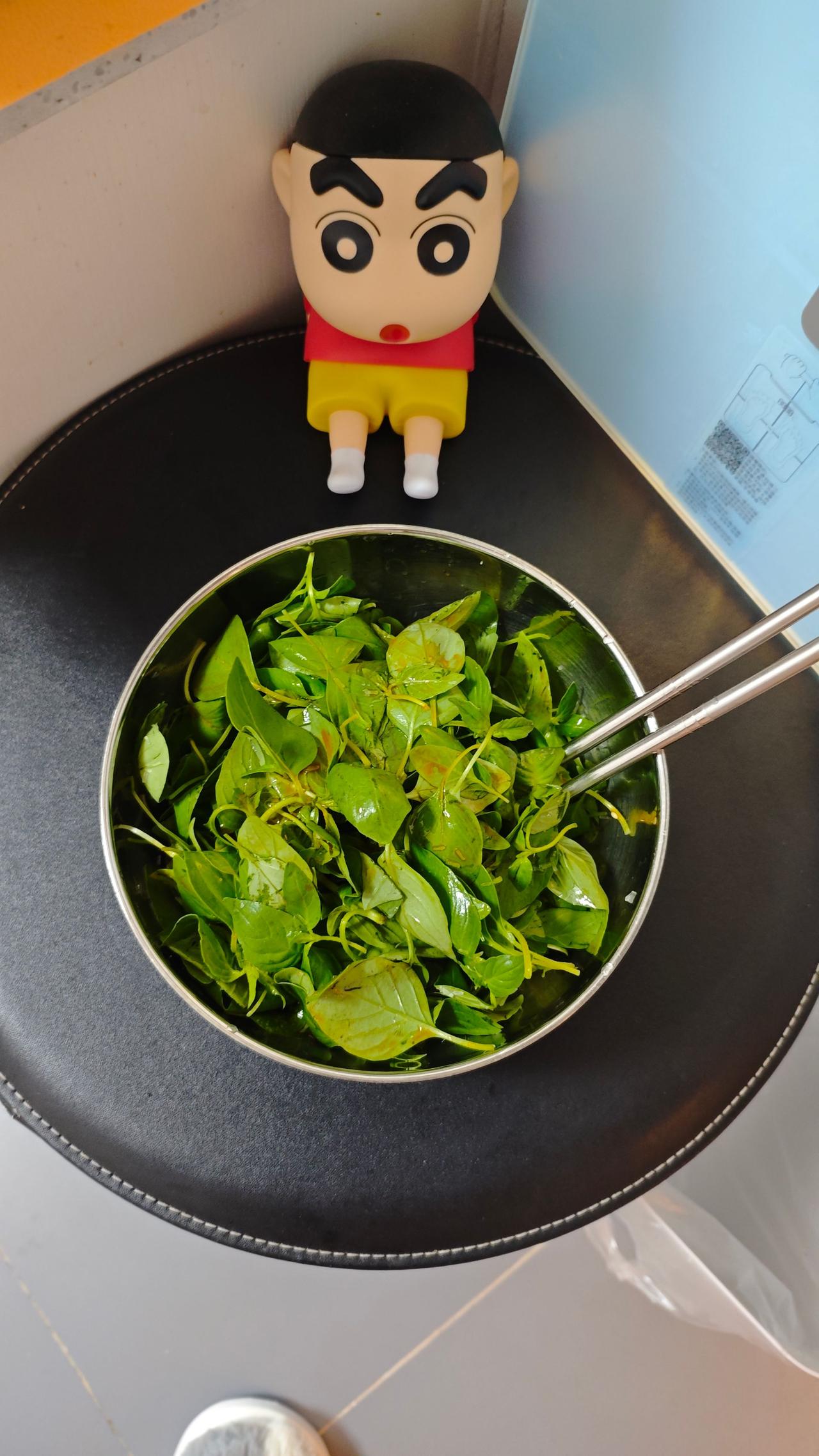 河南大叶荆芥 河南省草 荆芥