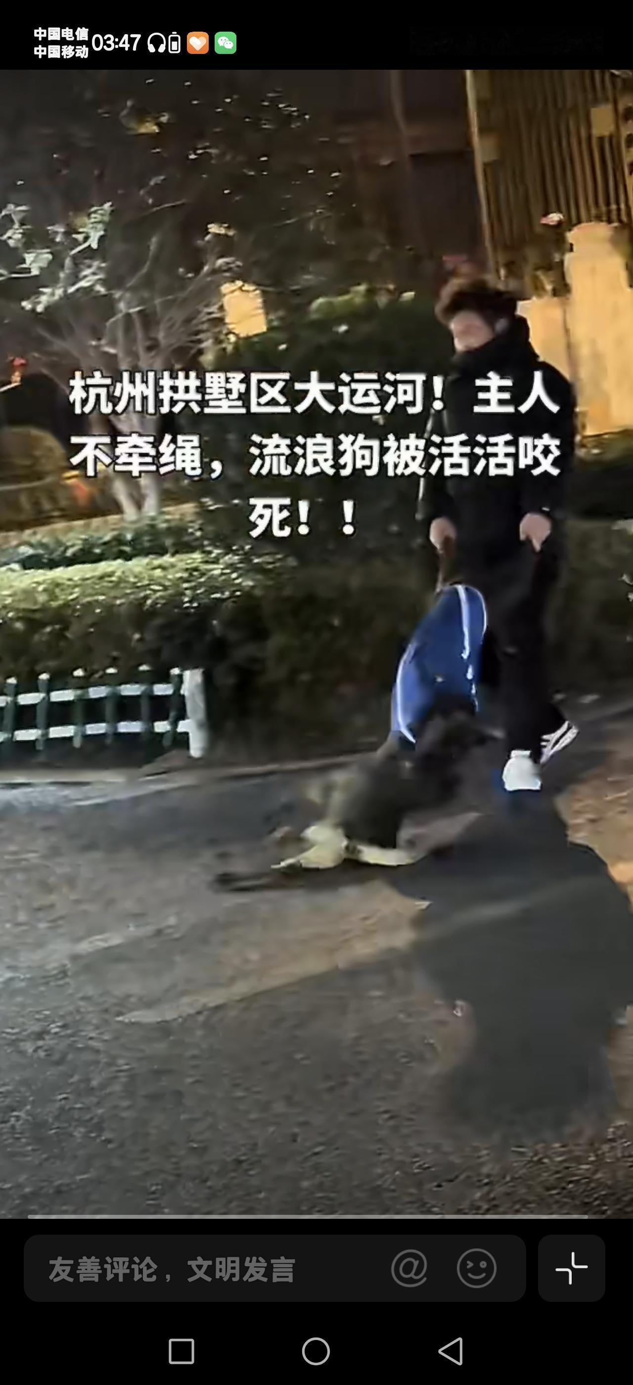 这是有钱人还是有权人，这么个烈性犬也能养？养了就算了，为什么不牵绳呢，难道就是有
